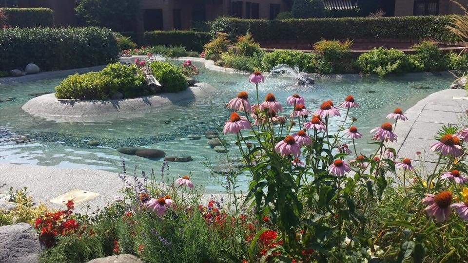 giardino intorno alla piscina