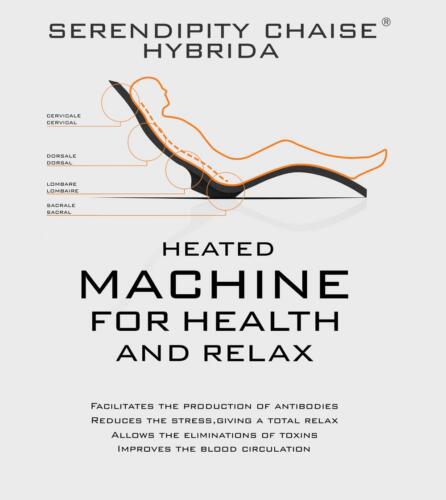 Serendipiy Hybrida S010 